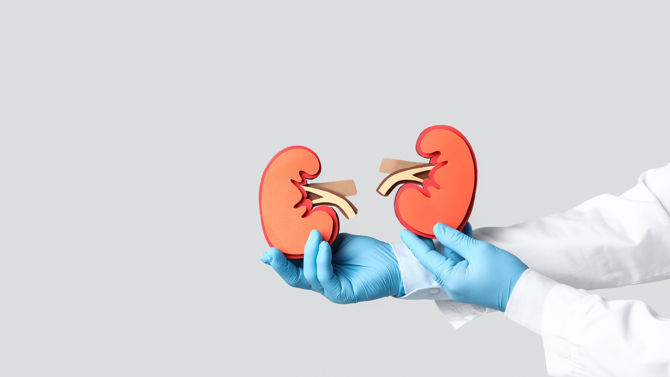 Renoprotective Pathways: The Evolving Science of GLP-1 and Kidney Health